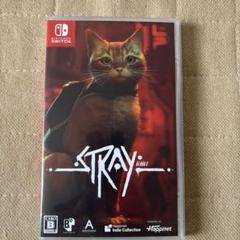 Switch Stray 通常版