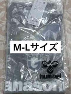 激レア❗3️⃣ガンバ大阪 ゴールドエンブレム ユニフォームハンガー 激レア❗3️⃣ガンバ大阪 ゴールドエンブレム ユニフォーム