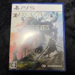 PS5 WILD HEARTS