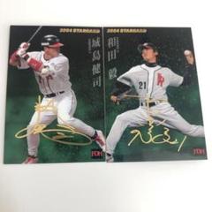 BBM 2010 阪神タイガース　城島健司　ユニフォームカード　ソフトバンク Amazon.co.jp: 2010bbm 阪神タイガース レギュラーカード No
