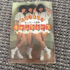 キャンディーズ　1978年　解散当時写真集・パンフレット　お宝セット 2025年最新】キャンディーズ パンフレットの人気アイテム - メルカリ