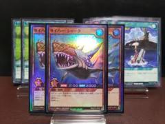 【遊戯王RD】サイバーシャーク　オステウス　小川　海　サルベージ　波涛融合　他