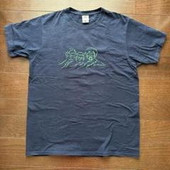CDセット 10枚 ペトロールズ関連＋Tシャツ PETROLZ - Believe Music STORE OFFICIAL WEBSITE