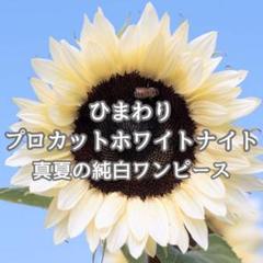 ひまわり◯プロフの一読お願いします 天使はく🤍🐾🪽 on X: 