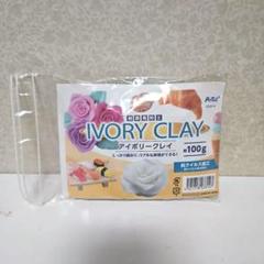 【新品未使用】IVORY CLAY 樹脂風粘土 100g