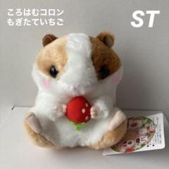 新品 ころはむコロンもぎたていちごBIG ぬいぐるみ モルルンいちご B ころはむコロン もぎたていちご STぬいぐるみ モルルンいちご