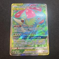 フシギバナ&ツタージャgx sr
