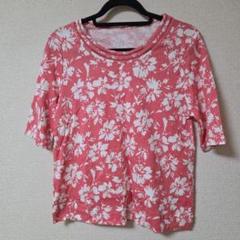 株式会社ドマーチェ　半袖　Tシャツ　アロハ　ハイビスカス　花柄　ピンク