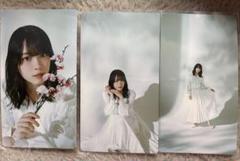 櫻坂46 サクコレ　Vol1.桜　コンプリート特典 森田ひかる
