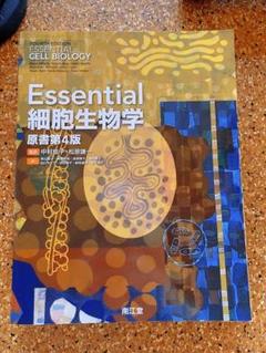 【美品】Essential cell biology 細胞生物学 英語版 Essential Cell Biology, 4th Edition: Alberts, Bruce, Bray