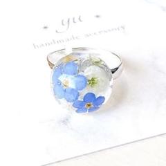 レジンリング　指輪　リング　大ぶり　勿忘草　大人可愛い　サイズフリー