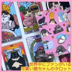 【正規品タロットカード】タイ発人気デッキ✨入手困難品✨超キュートな猫ちゃんデッキ