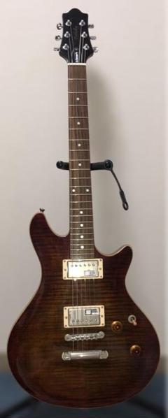 Edwards ポッドベリー　ジャンク 2025年最新】esp potbellyの人気アイテム - メルカリ