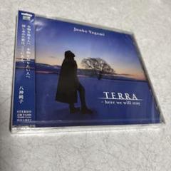 八神純子Terra~here we will stay（新品未開封/スリーブ無し