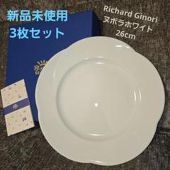 最終値下　リチャードジノリ　ソロモン　プレート　大皿　食器　陶器　廃盤　レア貴重 最終値下 リチャードジノリ ソロモン プレート 大皿 食器 陶器