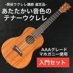 【kmise】マホガニー材単板のテナーウクレレ【入門セット】
