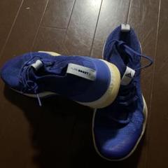 【格安saleスタート】 adidas PUREBOOST X ブルー シューズ 25センチ - メルカリ スパイク・シューズ