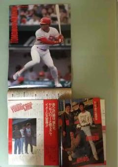 プロ野球ai 特集 1991年 広島カープ ポスター 前田智徳 TUB様専用です