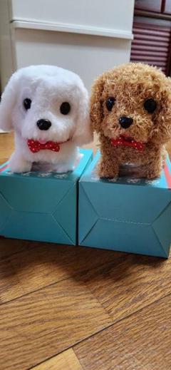 犬型ぬいぐるみ 2体セット