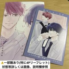⚠️難有り　あらしといぶき　あおの晴　とらのあな　特典　リーフレット　小冊子　2点