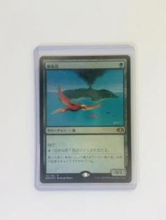 2025年最新】極楽鳥 mtgの人気アイテム - メルカリ
