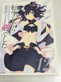 転生したら剣でした 12巻Amazon限定版の特製冊子