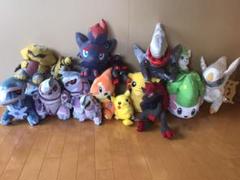 ポケモンぬいぐるみ