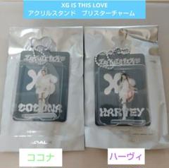 XG IS THIS LOVE　アクリルスタンド　ブリスターチャーム　ステッカー XG IS THIS LOVE アクリルスタンド ブリスターチャーム