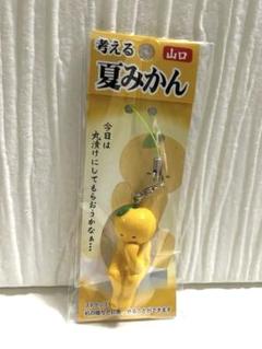 2025年最新】山口夏みかんの人気アイテム - メルカリ