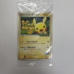 2025年最新】ポケパークのピカチュウの人気アイテム - メルカリ