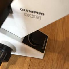 OLYMPUS CKX31 顕微鏡 NAO.30レンズ付き 値下げしました OLYMPUS CKX31 顕微鏡 NAO.30レンズ付き 値下げしました - メルカリ