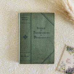 洋書 古書 ドイツ語のアンティーク植物図鑑 植物学の教科書 豊富