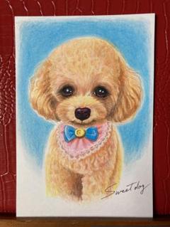 絵画　トイプードル Amazon.co.jp: ポストカード TOY POODLE/トイプードル イラスト