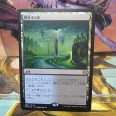 Darkslick Shores 闇滑りの岸 foil 4枚セット 2025年最新】闇滑りの岸 foilの人気アイテム - メルカリ