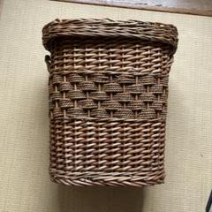 ちょっと大きめバスケット