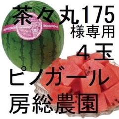 ４・大阪府・茶々丸175・ピノガール 4・大阪府・茶々丸175様専用・ピノガール - メルカリ