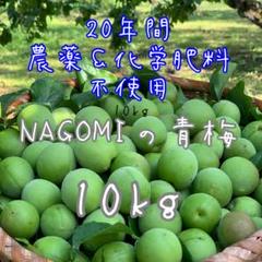 NAGOMIの青梅 (10kg)20年間 農薬不使用 NAGOMIの青梅 (10kg)20年間 農薬不使用 - メルカリ