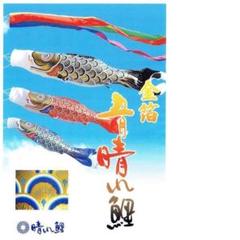 1000円値下げ!即納!!●新品♪黄金こいのぼり3m6点セット 鯉3匹鯉のぼり●