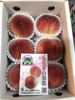 山梨県 温室桃 日川白鳳 約1kg 5〜6玉