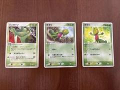 ポケモンカード キモリ＆ジュカイン promo