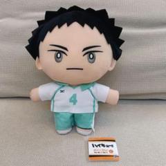 2025年最新】岩泉一 ぬいぐるみの人気アイテム - メルカリ