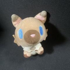 イワンコドール　ポケモン 61mxSE7RMjL._UF350,350_QL50_.jpg