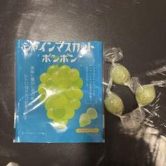 未開封新品　2月25日購入　シャインマスカットボンボン　3袋 新品 未開封】シャインマスカットボンボン 八雲製菓