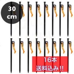 スチール ペグ セット ソリッド 30cm 16本 ロープ付 テント タープ