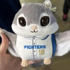 日本ハムファイターズ 動物ぬいぐるみくじ モモンガ2種セット【山﨑福也】 ◇日本ハムファイターズ 選手くじ 動物ぬいぐるみくじ 山崎福也