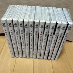 文豪ストレイドッグス 1〜13巻
