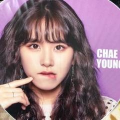 【新品・未開封】TWICE OMT うちわ 全員セット TWICEツウィうちわセット