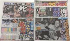 ハルクホーガン　新聞記事　5紙　①