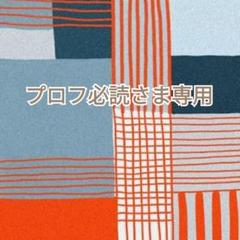 プロフ必読さま専用