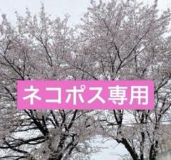 2025年最新】瀬戸田レモンの人気アイテム - メルカリ